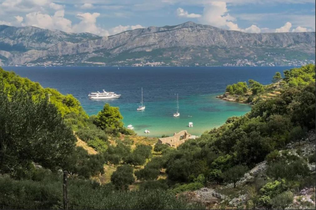 Apartment Vita Postira Dış mekan fotoğraf
